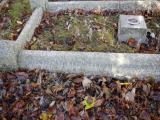 image of grave number 905152